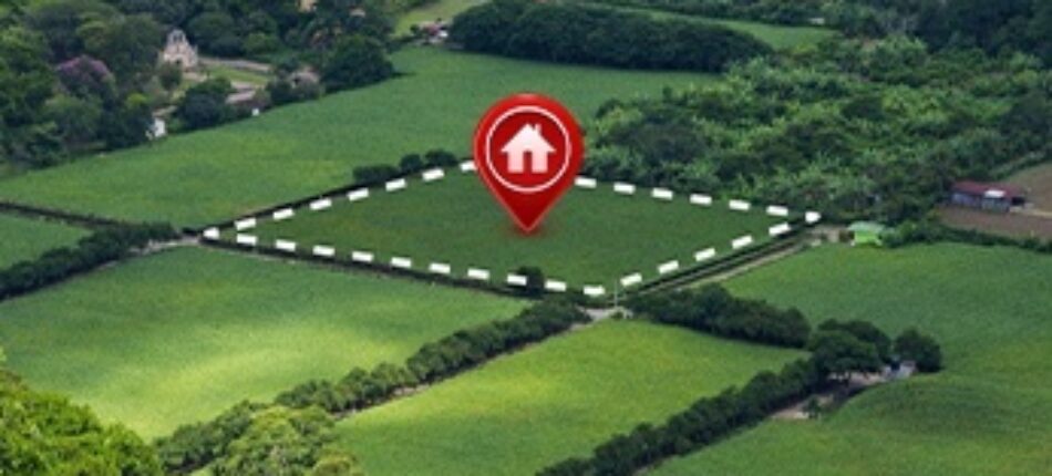 Le choix du terrain pour un projet de maison abordable 