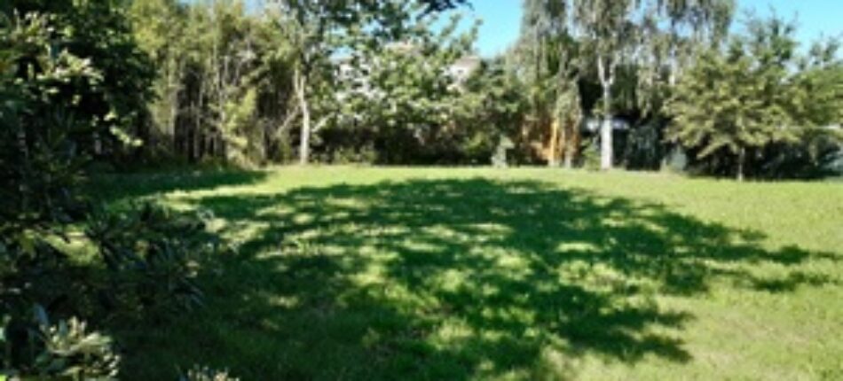 Comment choisir l’implantation d’une maison neuve en Gironde ? 