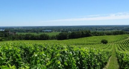 Construire une maison dans le Bordelais