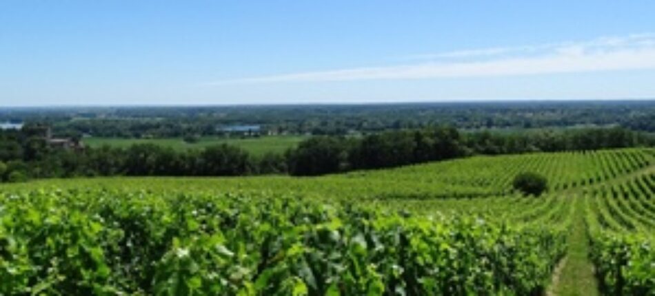 Construire une maison dans le Bordelais 