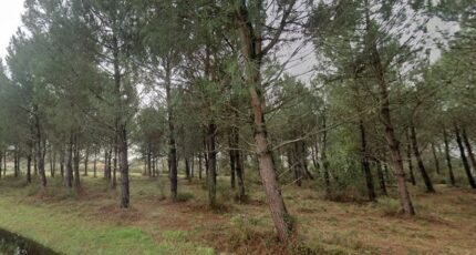 Andernos-les-Bains Terrain à bâtir - 2334948-10481annonce120240830SITTB.jpeg Batisoft