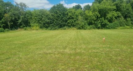 Sallebœuf Maison neuve - 2335127-10481annonce120241210aiITM.jpeg Batisoft