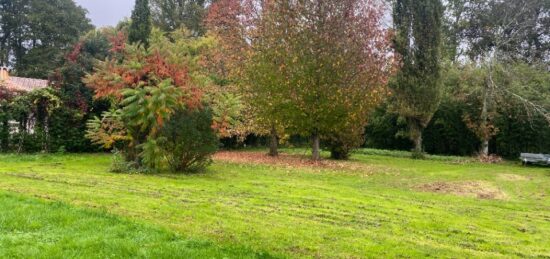 Terrain à bâtir à Saint-Michel-de-Rieufret, Nouvelle-Aquitaine