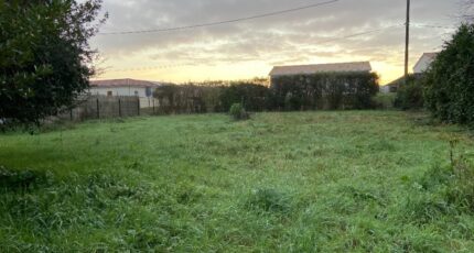 Seyresse Maison neuve - 2342502-11689annonce120251119T7MMU.jpeg Batisoft