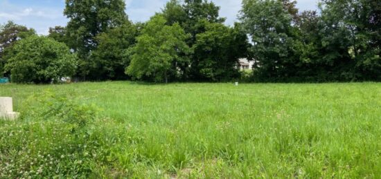 Terrain à bâtir à Belin-Béliet, Nouvelle-Aquitaine