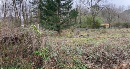 Léognan Terrain à bâtir - 2351036-11689annonce120251127pK9tE.jpeg Batisoft