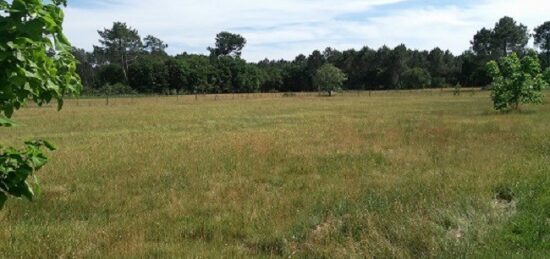 Terrain à bâtir à Le Barp, Nouvelle-Aquitaine