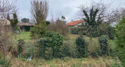 Quinsac Maison neuve - 2383425-10331annonce120241208s7mes.jpeg Batisoft