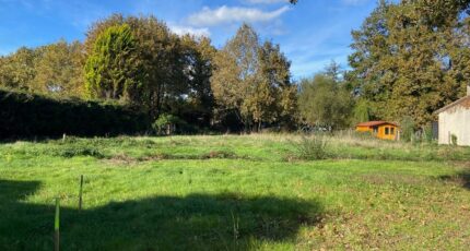 Brach Maison neuve - 2383433-10331annonce220251208qlE02.jpeg Batisoft