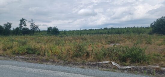 Terrain à bâtir à Le Teich, Nouvelle-Aquitaine
