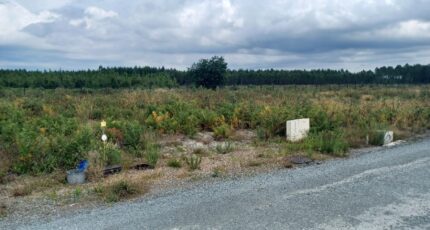 Lanton Maison neuve - 2395495-3127annonce120250716yTo0A.jpeg Batisoft