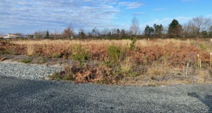 Saint-Magne Terrain à bâtir - 2397388-11689annonce120251219UrQMq.jpeg Batisoft