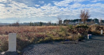 Le Taillan-Médoc Terrain à bâtir - 2397392-11689annonce120251219r6PSZ.jpeg Batisoft