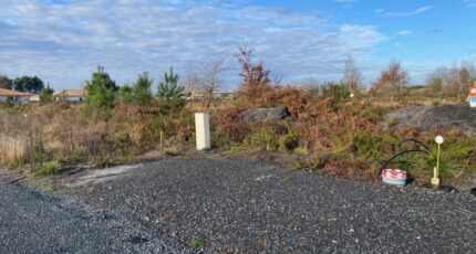 Margaux Maison neuve - 2397405-11689annonce120251219TUqVD.jpeg Batisoft