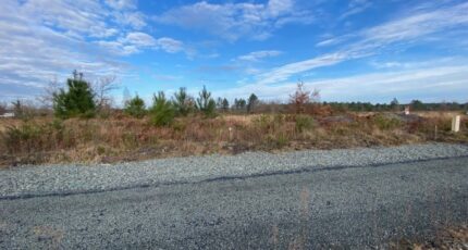 Gastes Maison neuve - 2397410-11689annonce120251219AcIiR.jpeg Batisoft