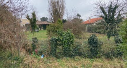 Le Teich Maison neuve - 2402546-11689annonce120260122HEJ9s.jpeg Batisoft