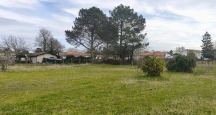 Ychoux Maison neuve - 2407741-3127annonce120260127SqzhP.jpeg Batisoft