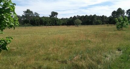 Le Barp Maison neuve - 2419427-3127annonce120250711ASW61.jpeg Batisoft