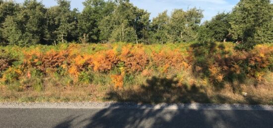 Terrain à bâtir à Le Temple, Nouvelle-Aquitaine