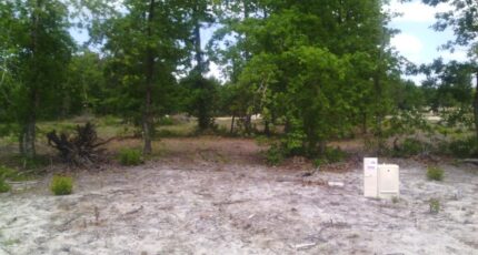 Le Tuzan Maison neuve - 2395586-3127annonce120260116v1mXi.jpeg Batisoft