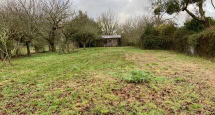 La Brède Maison neuve - 2435126-11689annonce120251118XfpNv.jpeg Batisoft