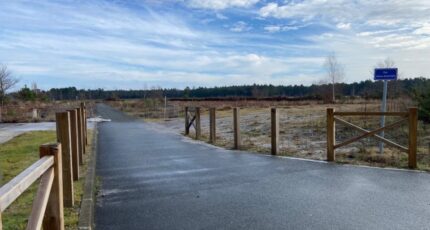 Castres-Gironde Terrain à bâtir - 2373103-11689annonce1202512191Gg7v.jpeg Batisoft