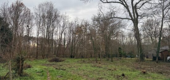Terrain à bâtir à Saint-Selve, Nouvelle-Aquitaine