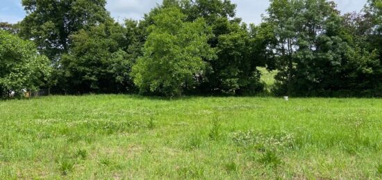 Terrain à bâtir à Saint-Quentin-de-Baron, Nouvelle-Aquitaine