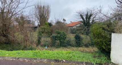 Pessac Maison neuve - 2449219-11689annonce120260306r6TU6.jpeg Batisoft