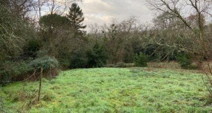 Saint-Selve Maison neuve - 2450056-11689annonce120251118JPFW6.jpeg Batisoft