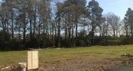 Pissos Maison neuve - 2450029-3127annonce12024031183dfa.jpeg Batisoft