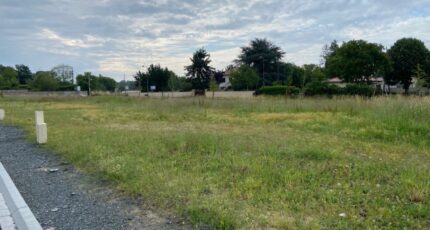 Castelnau-de-Médoc Maison neuve - 2450186-11689annonce120260122pu6lg.jpeg Batisoft