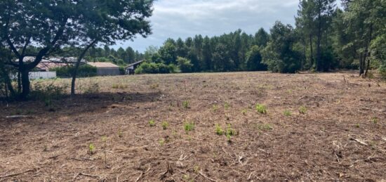 Terrain à bâtir à Pontenx-les-Forges, Nouvelle-Aquitaine