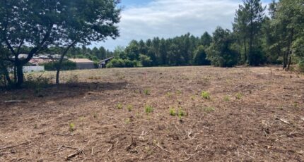 Pontenx-les-Forges Maison neuve - 2451195-10481annonce120241209ycOZC.jpeg Batisoft