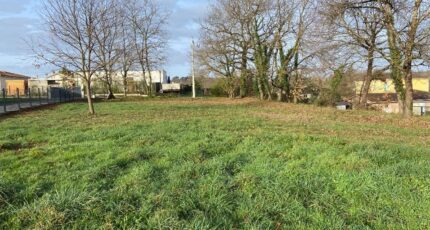 Baron Maison neuve - 2452701-10331annonce1202412083sJT4.jpeg Batisoft