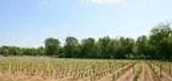 Terrain à bâtir à Cérons, Nouvelle-Aquitaine