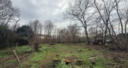 Saint-Selve Maison neuve - 2461141-11689annonce1202602243fovk.jpeg Batisoft