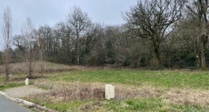 Saint-Médard-en-Jalles Maison neuve - 2468497-11689annonce120260326K8Fah.jpeg Batisoft