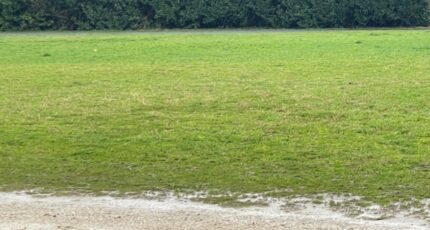 Saint-Médard-en-Jalles Maison neuve - 2468551-11689annonce120260326nytdH.jpeg Batisoft