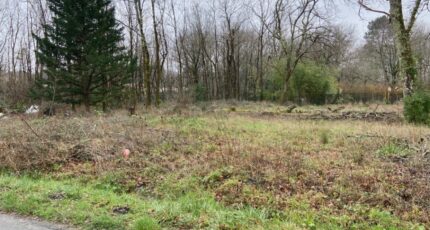 Cestas Maison neuve - 2468591-11689annonce120260326tyPZp.jpeg Batisoft