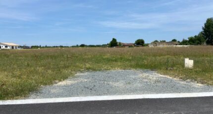 Verdelais Terrain à bâtir - 2402415-11689annonce120260122BRpfB.jpeg Batisoft