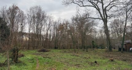 Saint-Selve Maison neuve - 2439195-11689annonce120260224T4zee.jpeg Batisoft