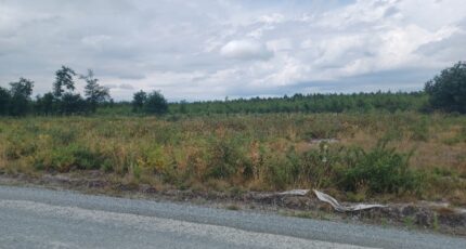 Le Teich Maison neuve - 2474574-3127annonce120251210oG6pX.jpeg Batisoft