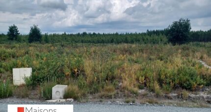 Mios Terrain à bâtir - 2484489-3127annonce120260414yo7XO.jpeg Batisoft