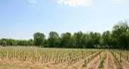 Cérons Maison neuve - 2462029-3127annonce120251126Q0747.jpeg Batisoft