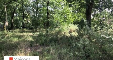 Salles Maison neuve - 2486983-3127annonce120260416ufmyc.jpeg Batisoft