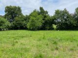 Terrain à bâtir à Saint-Quentin-de-Baron (33750) 2480924-10331annonce120250223Bx3En.jpeg Batisoft