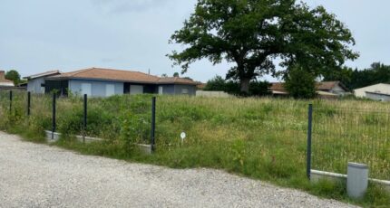 Hourtin Maison neuve - 2521082-11689annonce120260131Tt2rX.jpeg Batisoft