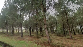 Andernos-les-Bains - 33510