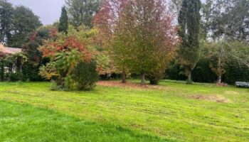 Saint-Sulpice-Et-Cameyrac - 33450